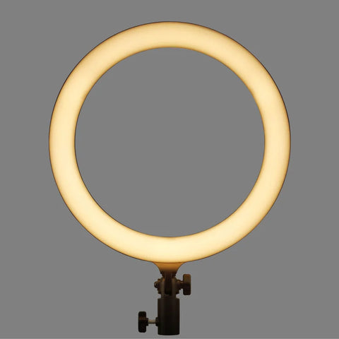 Godox Lr120 Led Ring Light 10w Bi-colour