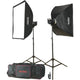Godox Ms-series Ms300-f 300w Twin Studio Monolight Kit