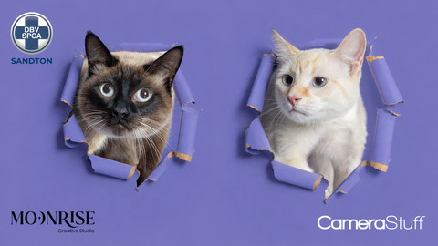 Cuteness Is Breaking Loose: The CameraStuff and Sandton SPCA 2027 Calendar
