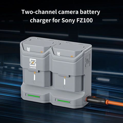 ZGCINE PC2-FZ100 Travel Charging Case for Sony NP-FZ100 (Grey)