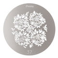Camerastuff Ccs-02 Peony Flowers Steel Gobo Disc 65mm for Optical Snoot Projector 37 • Camerastuff • South Africa