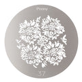 Camerastuff Ccs-02 Peony Flowers Steel Gobo Disc 65mm for Optical Snoot Projector 37 • Camerastuff • South Africa