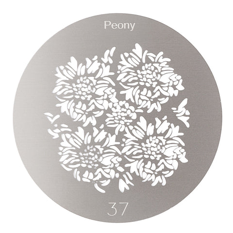 Camerastuff Ccs-02 Peony Flowers Steel Gobo Disc 65mm for Optical Snoot Projector 37 • Camerastuff • South Africa