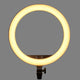 Godox LR150 LED Ring Light 38W Bi-Colour | CameraStuff | South Africa Gauteng Online Shop