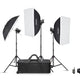 Godox MS300V-D 300w/s Triple Studio Flashes Kit (LED Modelling Lamps) | CameraStuff | South Africa Gauteng Online Shop