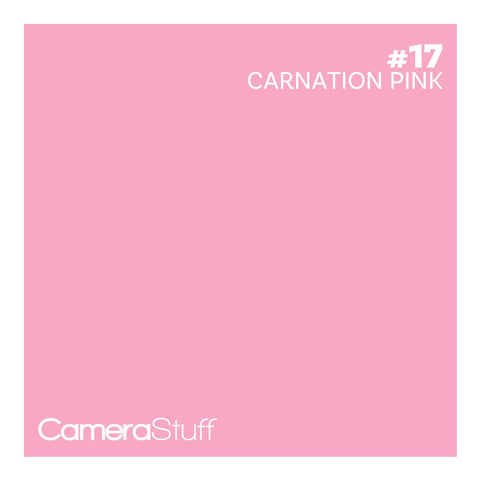 Camerastuff Seamless Paper Backdrop 1.35x10m no017 Carnation Pink | CameraStuff | South Africa Gauteng Online Shop