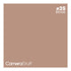 Camerastuff Seamless Paper Backdrop 1.35x10m no25 Beige | CameraStuff | South Africa Gauteng Online Shop