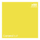 Camerastuff Seamless Paper Backdrop 1.35x10m no38 Aspen Yellow | CameraStuff | South Africa Gauteng Online Shop