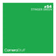 Camerastuff Seamless Paper Backdrop 1.35x10m No54 Chroma-Key Stinger Green | CameraStuff | South Africa Gauteng Online Shop