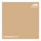 Camerastuff Seamless Paper Backdrop 1.35x10m no66 Wheat | CameraStuff | South Africa Gauteng Online Shop