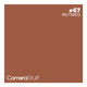 Camerastuff Seamless Paper Backdrop 1.35x10m no67 Nutmeg | CameraStuff | South Africa Gauteng Online Shop