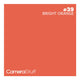 Camerastuff Seamless Paper Backdrop 2.70x10m no39 Bright Orange | CameraStuff | South Africa Gauteng Online Shop