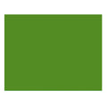 Colortone 2.72x11m High-quality Paper Backdrop Tech Green 5446 • Camerastuff • South Africa