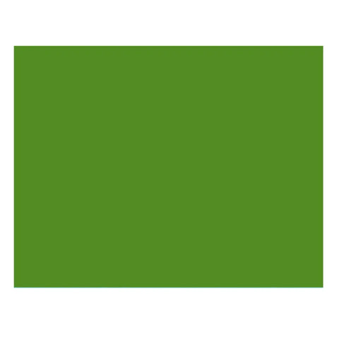 Colortone 2.72x11m High-quality Paper Backdrop Tech Green 5446 • Camerastuff • South Africa
