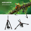 Neewer N284l + g0 79’’/200cm Magnesium Aluminium Alloy 2-in-1 Tripod and Monopod with Ball Head • Camerastuff • South