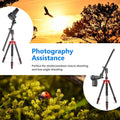 Neewer Zw-02 Boom Arm for Tripod 50cm Horizontal Center Column • Camerastuff • South Africa